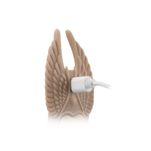 Buy Undercover Lover